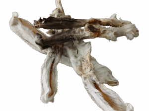 Kaninchenohren mit Fell