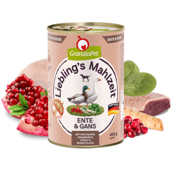Lieblingsmahlzeit Ente und Gans