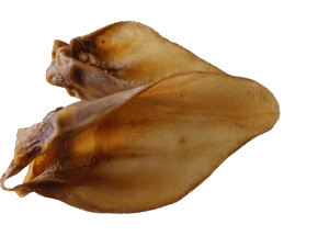 Rinderohren mit Muschel