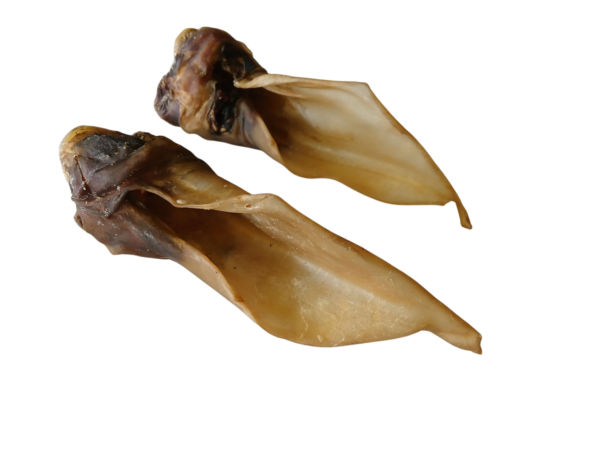 Hirschohren