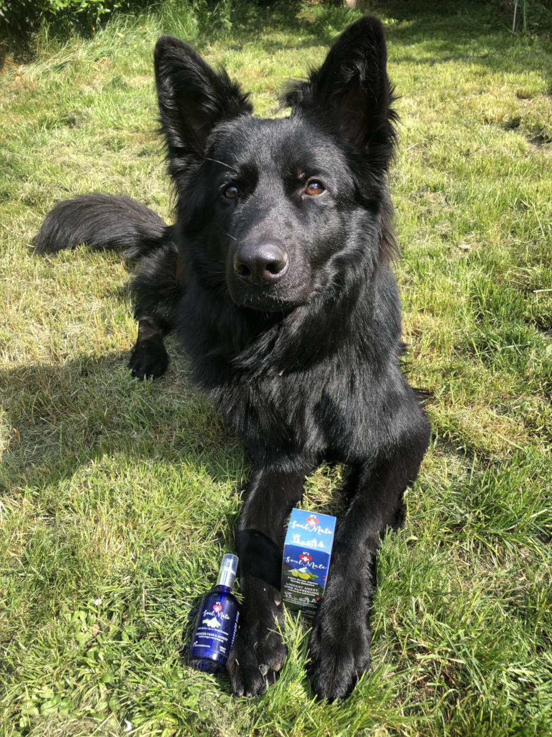 SoulMate N°1® -Entspannung & Beruhigungsspray – Bild 4