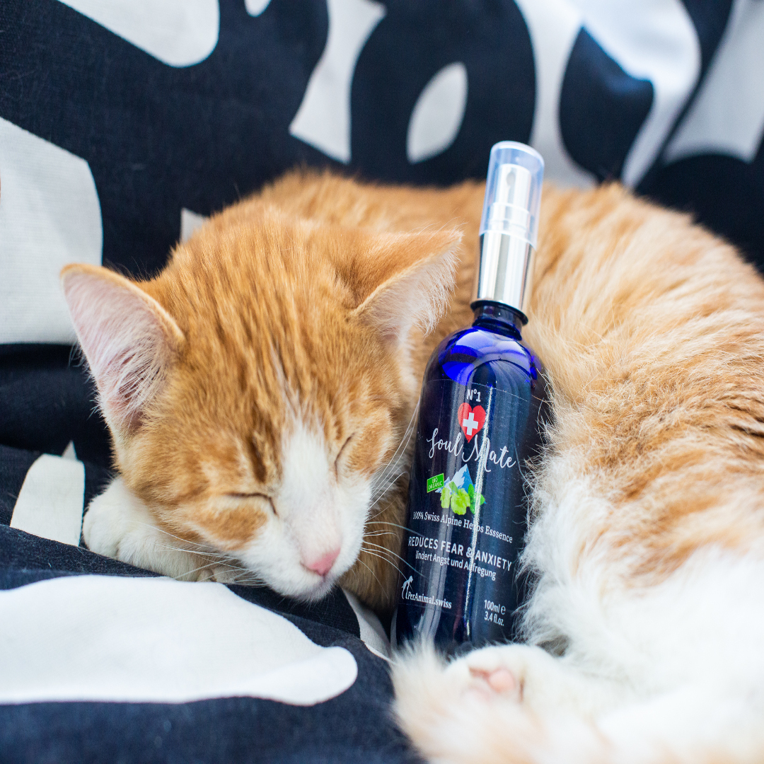 SoulMate N°1® -Entspannung & Beruhigungsspray – Bild 3