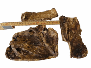 Rinderlungen Platten