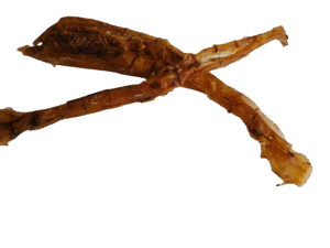 Rinder Achillessehnen