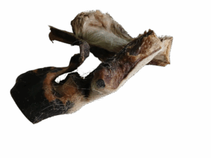 Rinderkopfhaut mit Fell