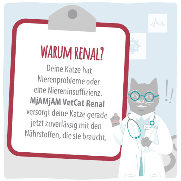 MjAMjAM VetCat - Diät - Niere - Renal - Pute – Bild 2