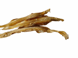 Seezunge