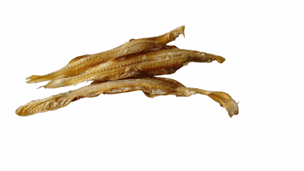 Seezunge