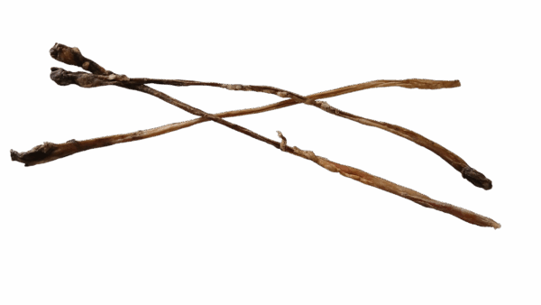 Straussen Achillessehnen