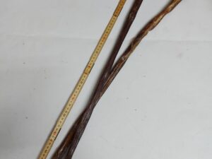 Rinderdörrfleisch Rund (Mahagonischlund ) 75cm