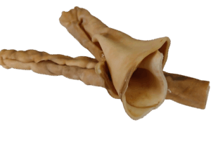 Pferdekopfhaut gerollt ca. 30cm