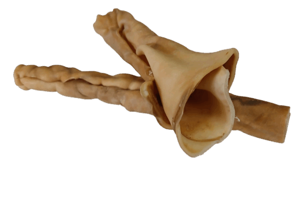 Pferdekopfhaut gerollt ca. 30cm