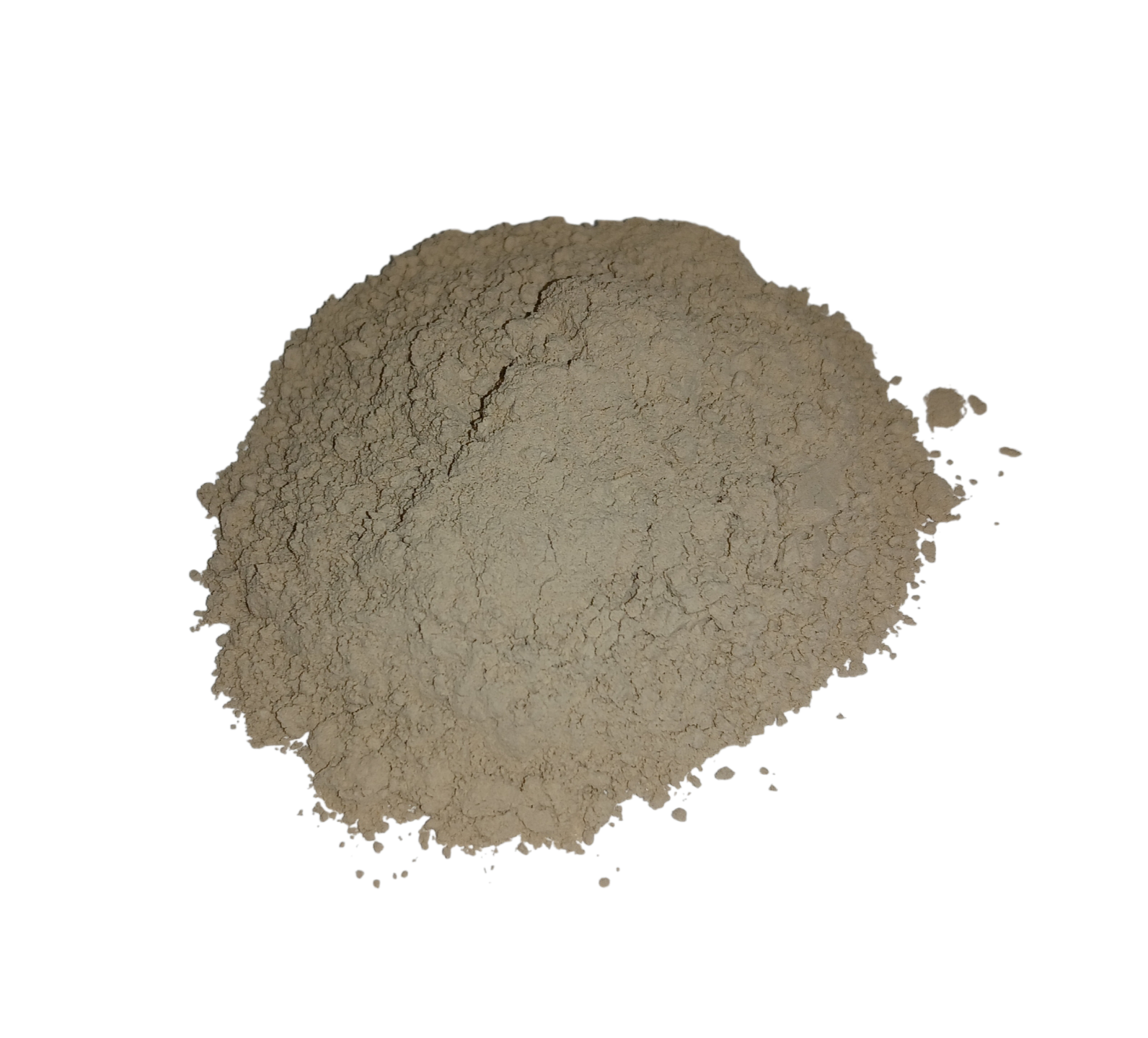 Chicoréewurzel gemahlen