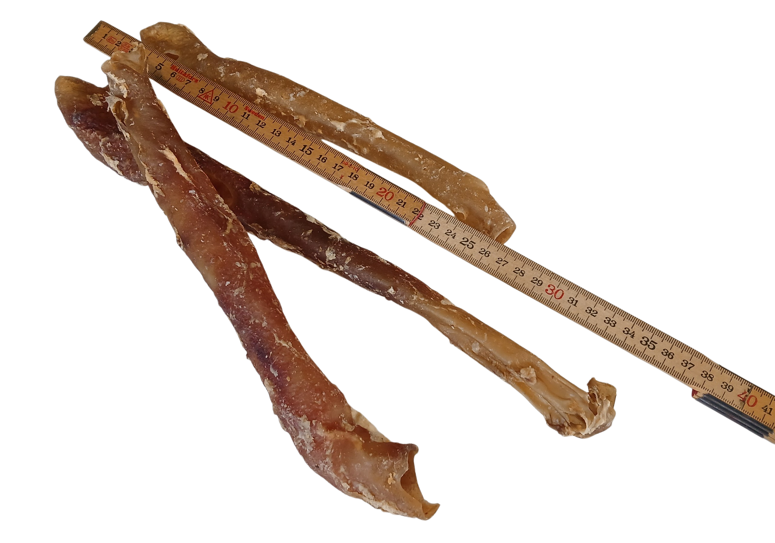 Büffel Venen – Bild 2