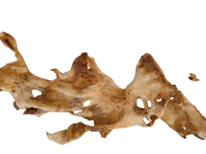 Lammkopfhaut Platten