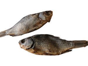 Karausche